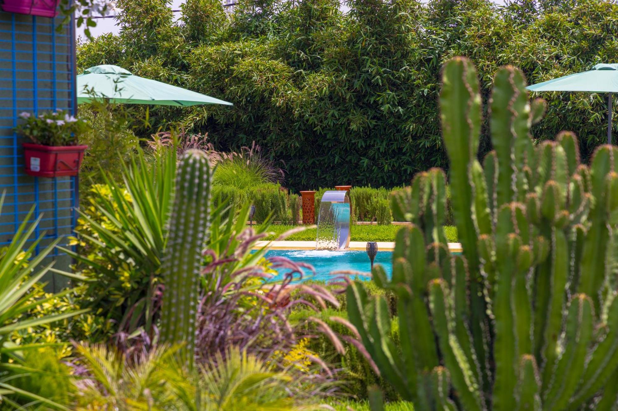 Dar Zarrouk - Eco Lodge Briech Assilah Ngoại thất bức ảnh